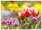 Jahreszeiten - Frühlingspost